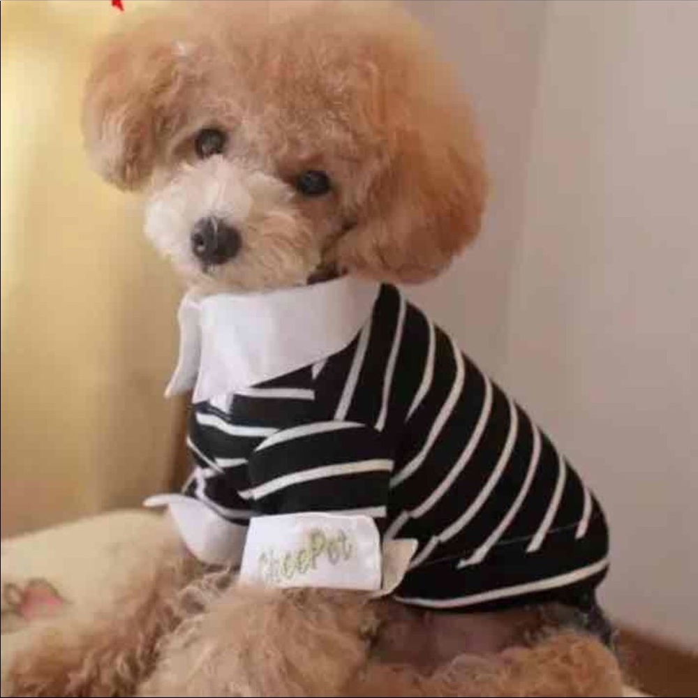 NEW Small Breed Dog Puppy Polo shirtS